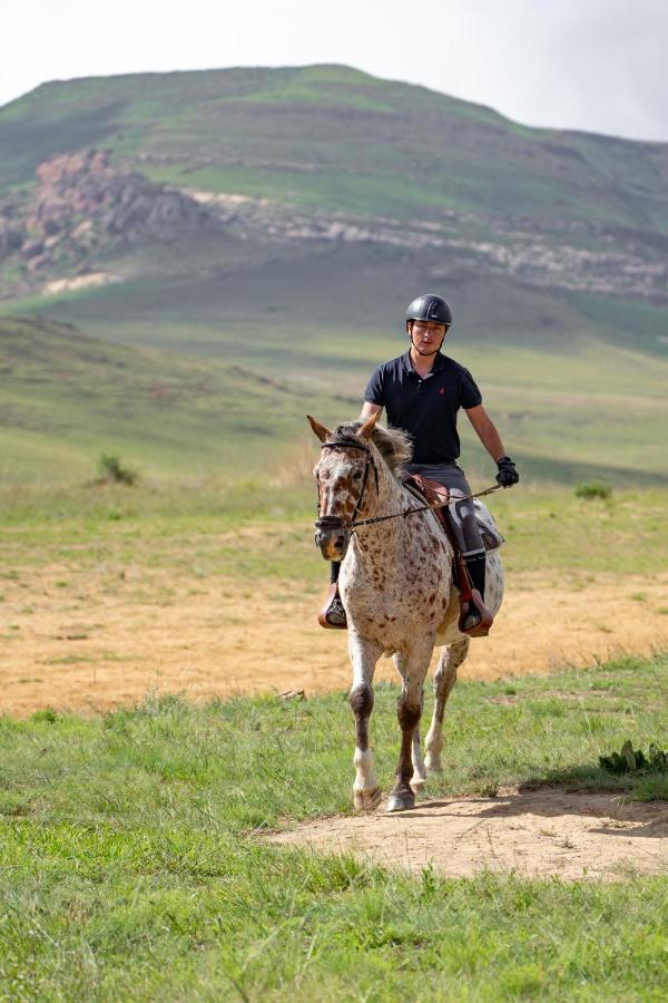 Wild Horses Lodge Harrismith Luaran gambar