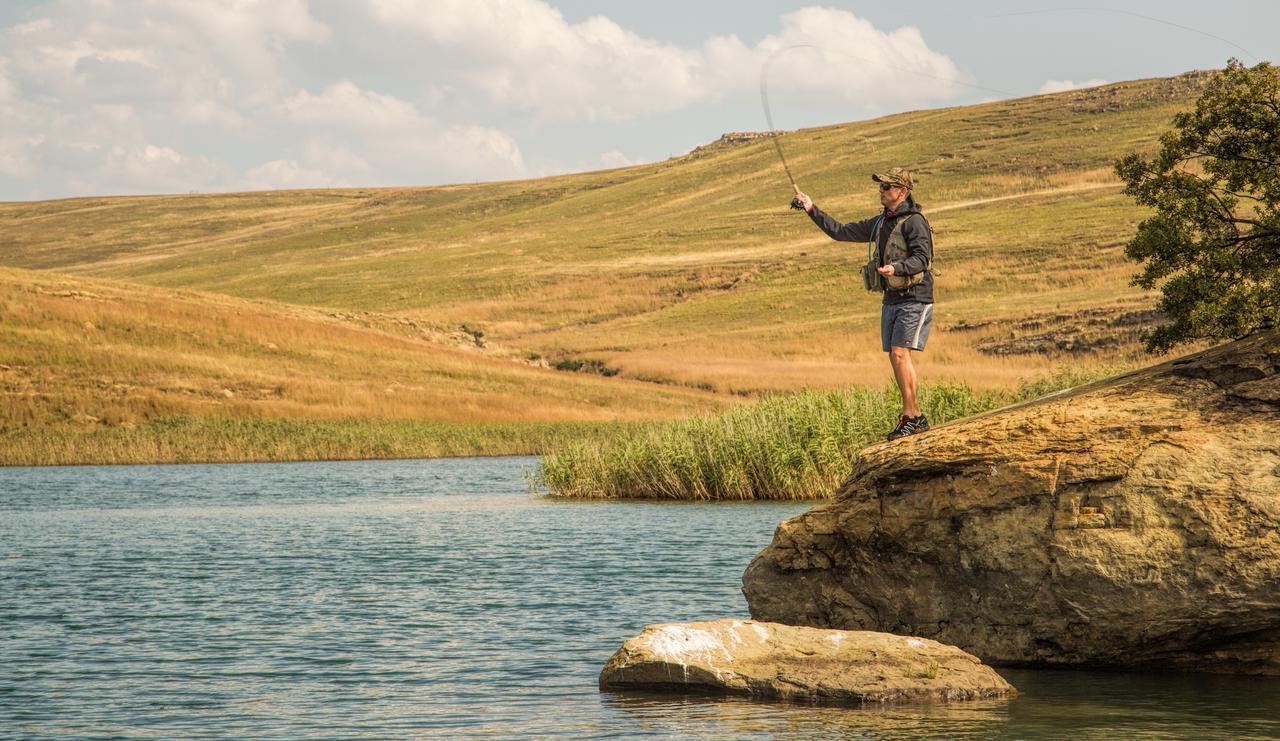 Wild Horses Lodge Harrismith Luaran gambar